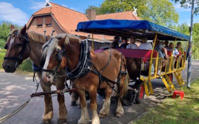 Kutschfahrt durch die Heide🐴