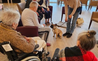 Tierischer Besuch 🐕