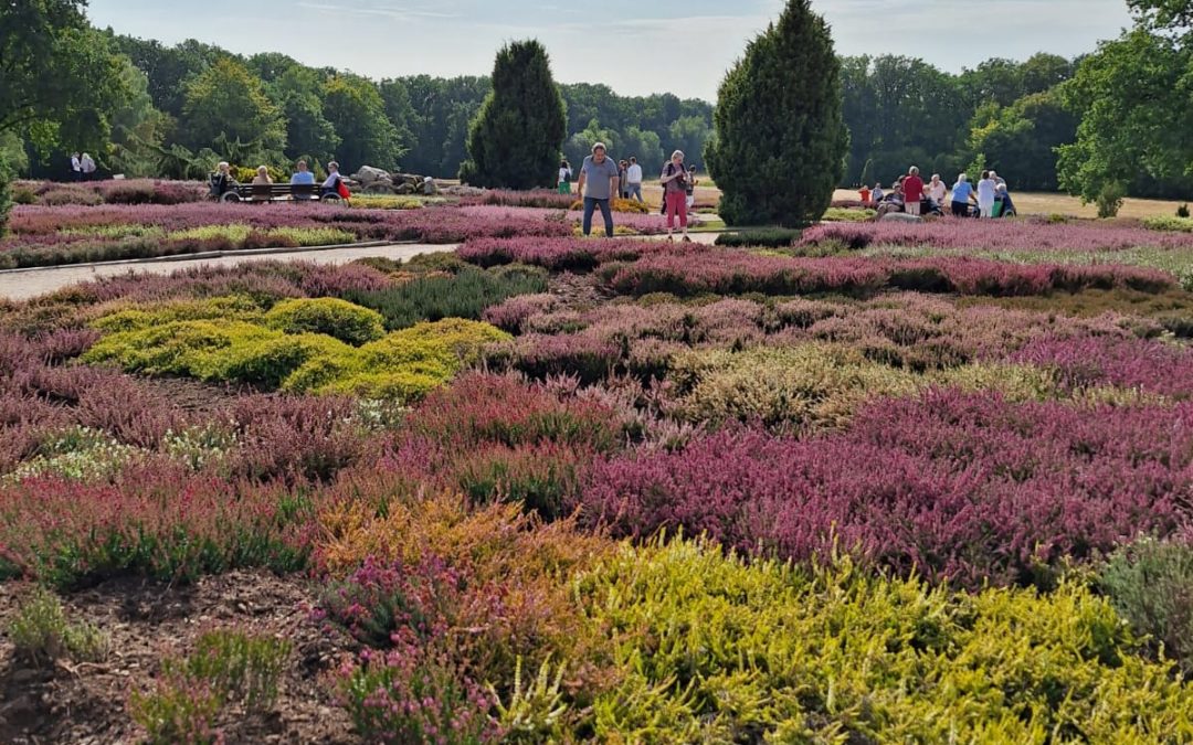 Ausflug in den Heidegarten 🌸