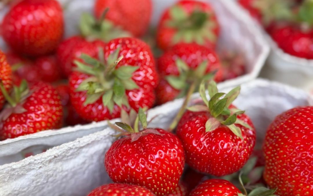 🛒🌞 Marktluft schnuppern & Frische Luft genießen! 🌸👣