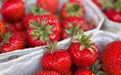 🛒🌞 Marktluft schnuppern & Frische Luft genießen! 🌸👣