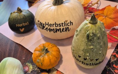 Goldener Herbstvormittag 🍁🎃🌽
