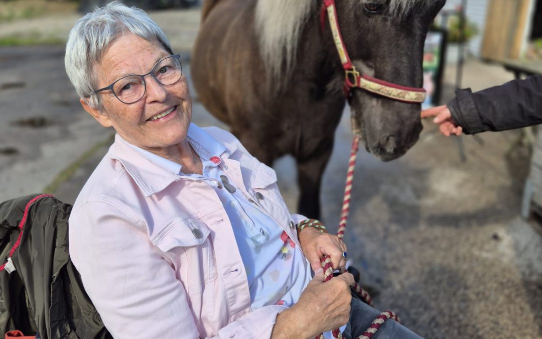 🐴💖 Ausflug auf den Reiterhof