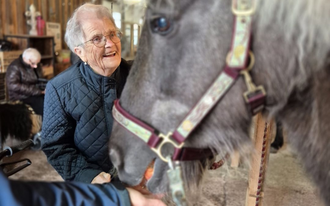 🌧🐴 Ausflug zum Pferdehof 🐷🍰