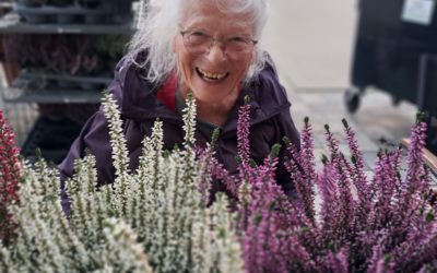 Letzte Woche  waren unsere BewohnerInnen richtig fleißig🌸