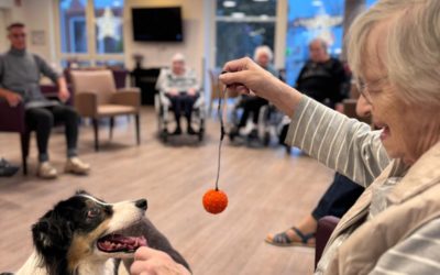 🐾 Tierischer Besuch, der Herzen öffnet 🐾