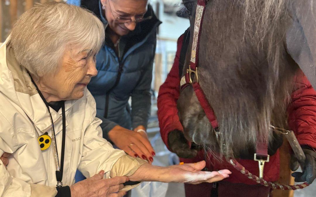 Hufklappern, weiches Fell und ganz viele glückliche Gesichter 🐴✨