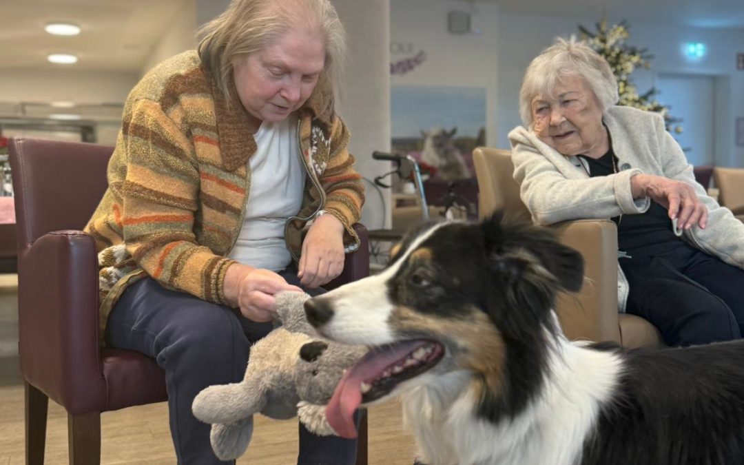 🐶🐶 Besuch mit ganz viel Herz