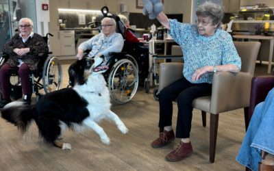Heute durften wir wieder ganz besonderen Besuch in der Residenz Heideblüte begrüßen 🐾