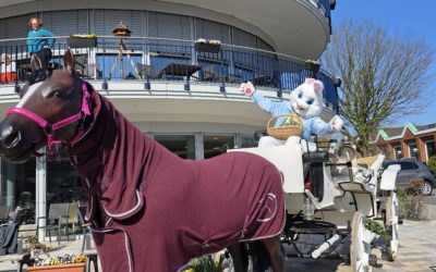 Was für ein wunderschöner Nachmittag bei unserem Osterbasar in der Residenz Heideblüte! 🌸🐰