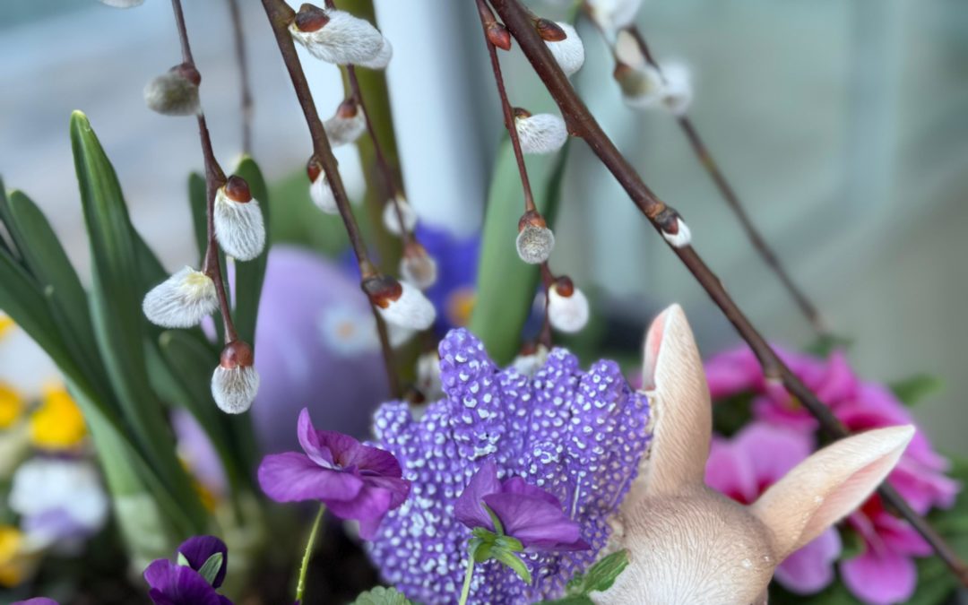 Blumenkästen bepflanzen 🌸🌱