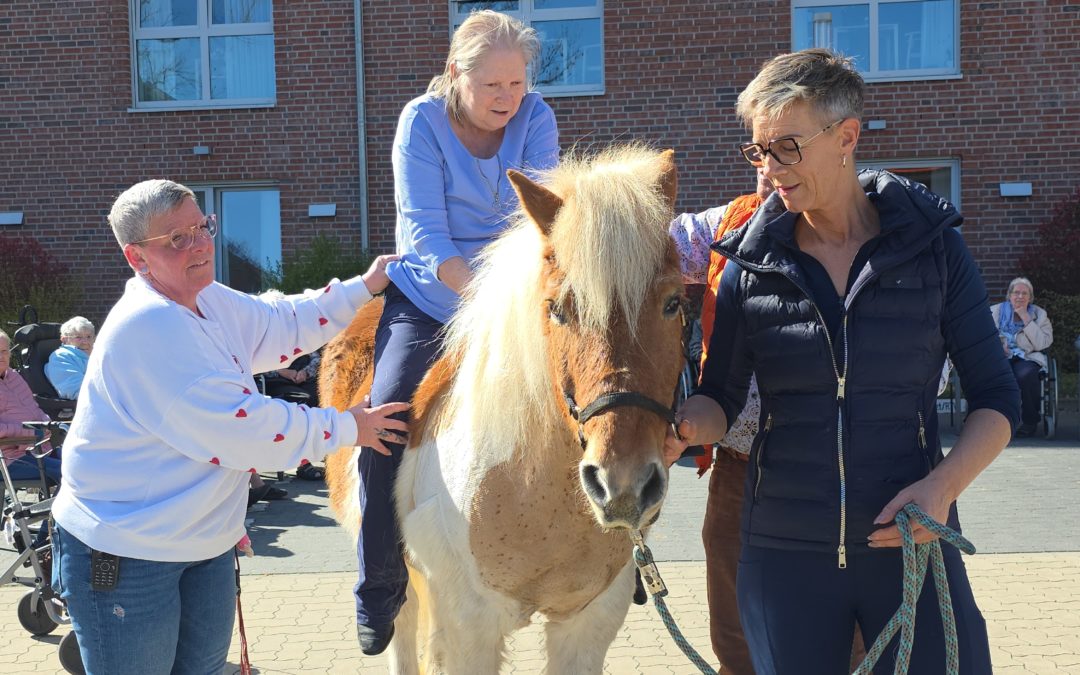 Gestern war ein ganz besonderer Tag bei uns in der Residenz Heideblüte 🐴✨