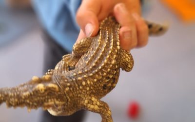 Ein ganz besonderer Vormittag liegt hinter uns: Unsere Bewohnerinnen und Bewohner waren zu Besuch im Kindergarten. 💛