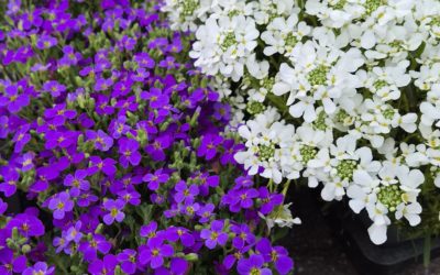 Ein schöner Donnerstagvormittag liegt hinter uns ☀️