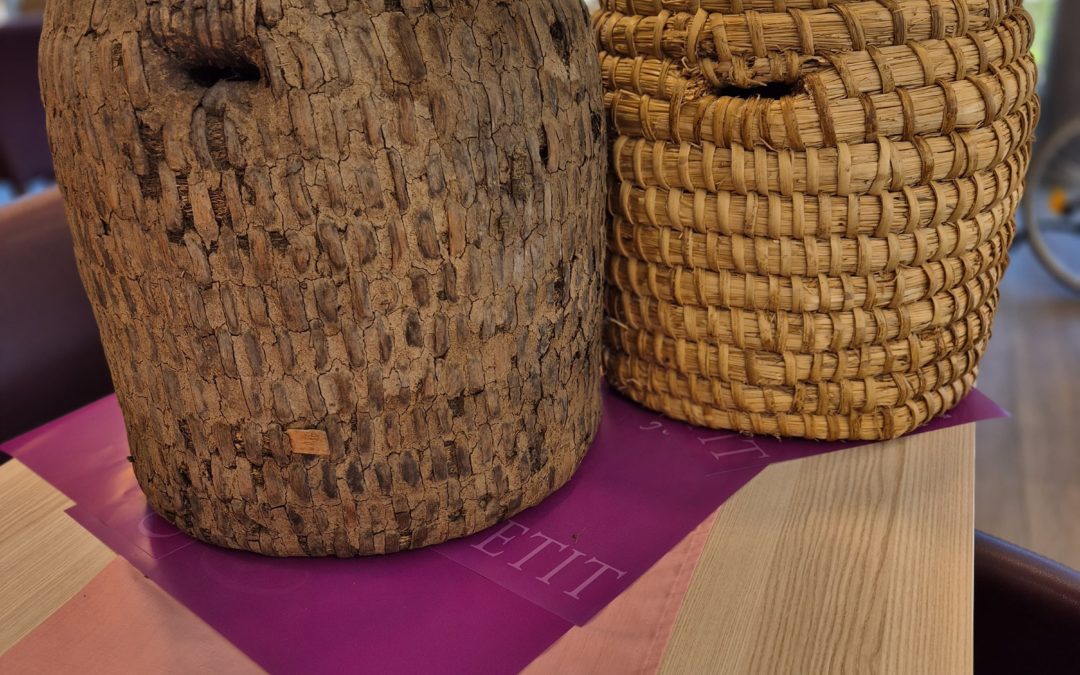 🐝✨ Thementag rund um Bienen & Honig ✨🐝