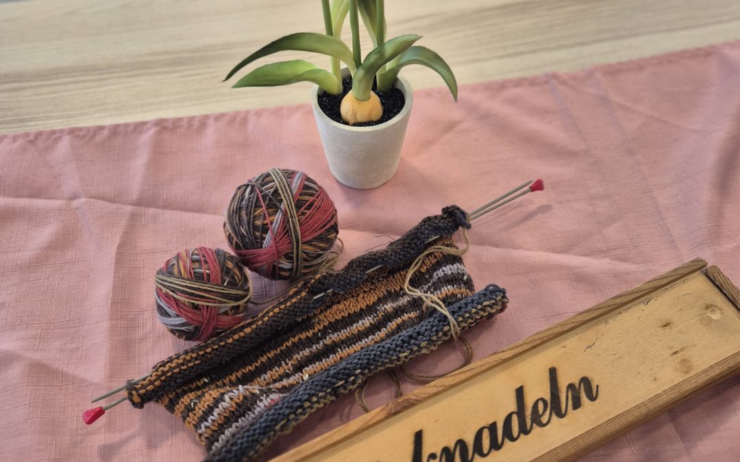 Heute Vormittag wurde es bei gemütlich gestrickt 🧶✨