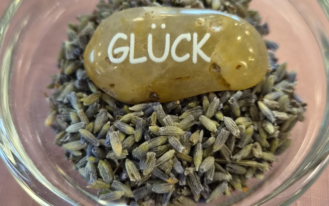 💜 Ein duftender Nachmittag mit Lavendel 💜