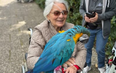🐦🌿 Ein wunderschöner Vormittag im Weltvogelpark Walsrode! 🌿🐦